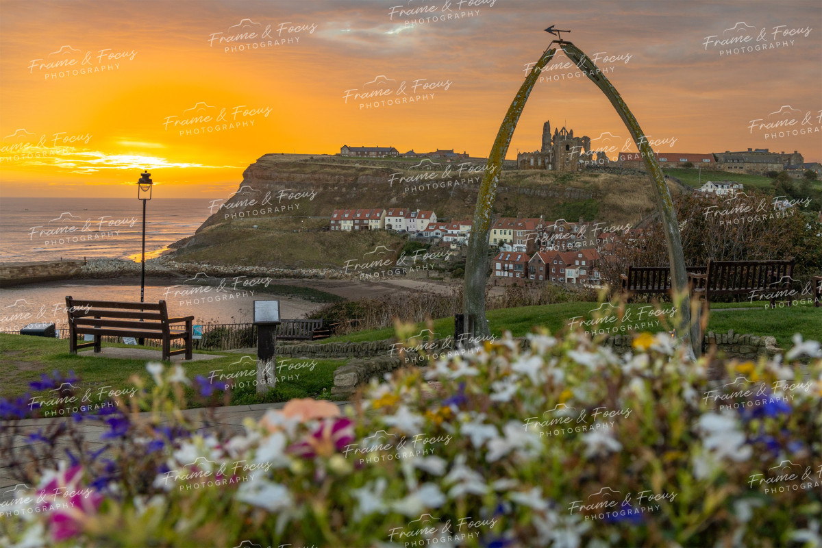 To buy a print or any of the below please click on the images